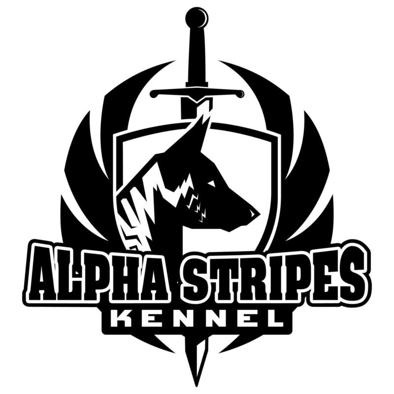 Alimenti Step