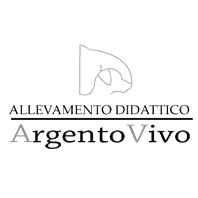 Alimenti Step